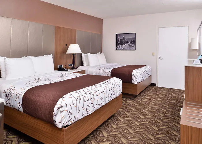 Best Western Airport Plaza Inn Hotel - Los Angeles Lax